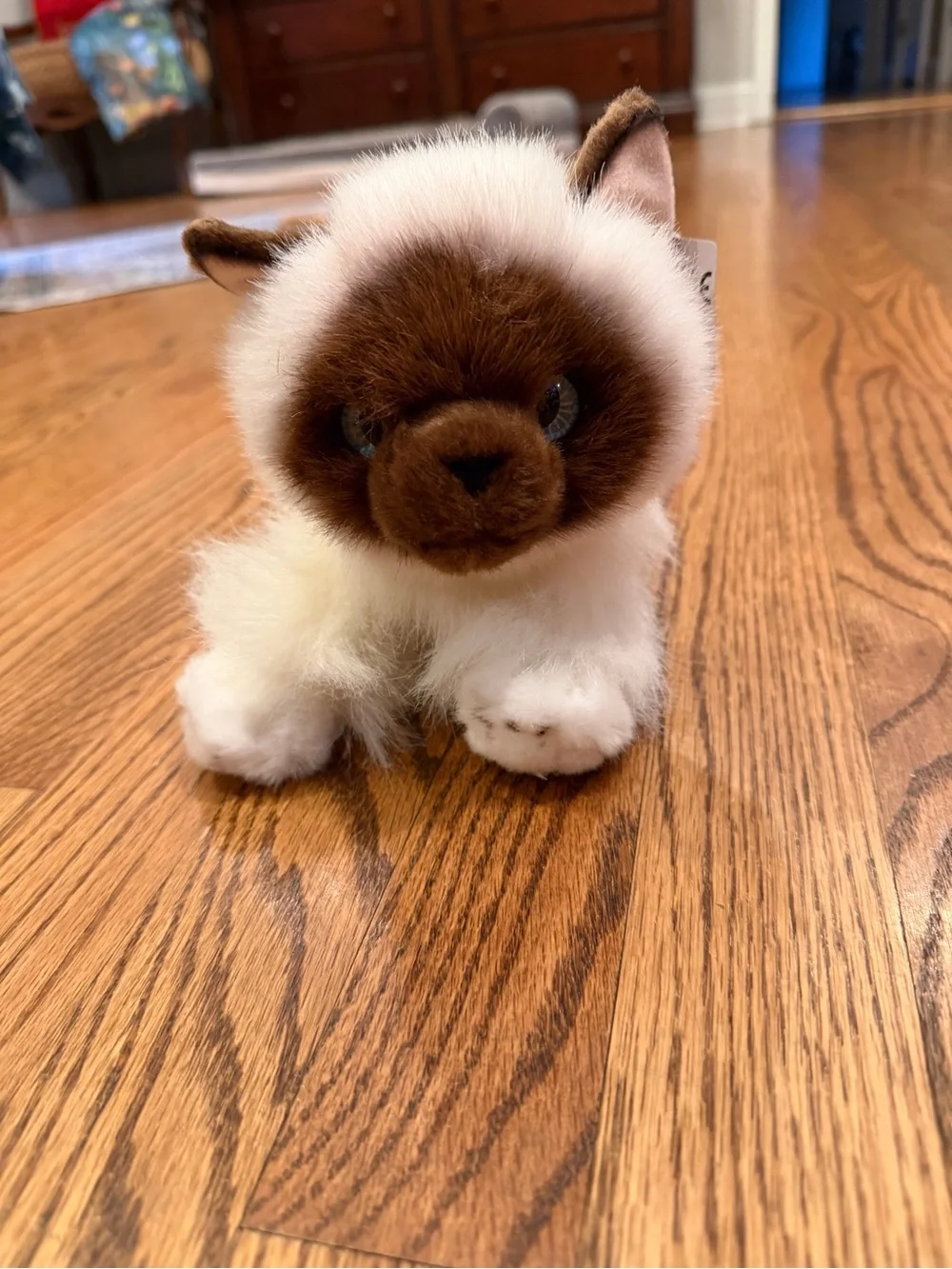 Aurora Bella cat plush